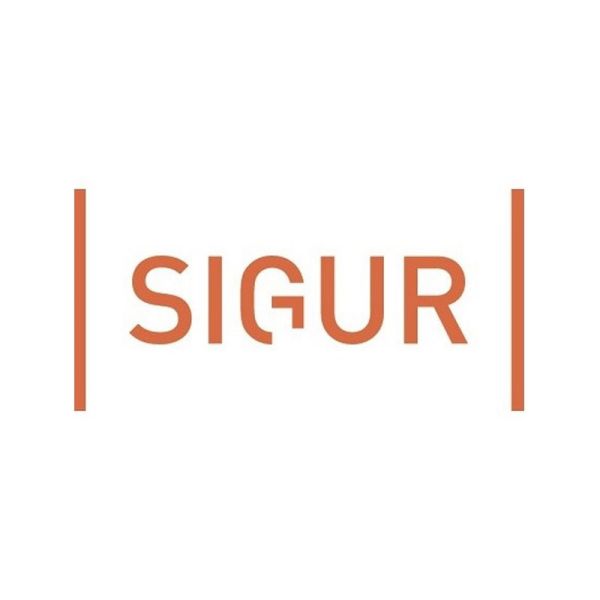 SIGUR ПО «Автопарк» Дополнительный модуль - SKU:G00013783